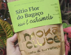 Você conhece a variedade Castillo?