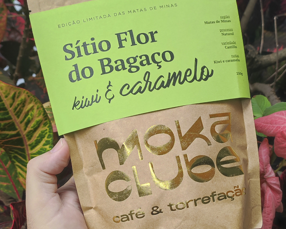 Você conhece a variedade Castillo de café especial?